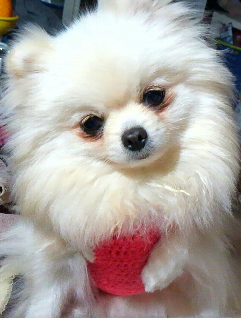 d0306603_02124643.jpg