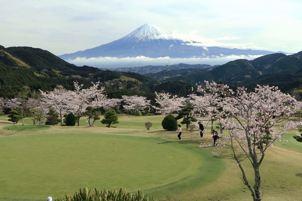 富嶽カントリーの桜2017～Ⅰ_a0188405_18513859.jpg