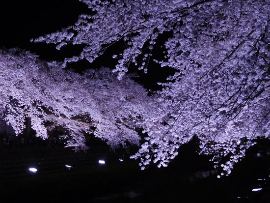 c0051105_1328413.jpg