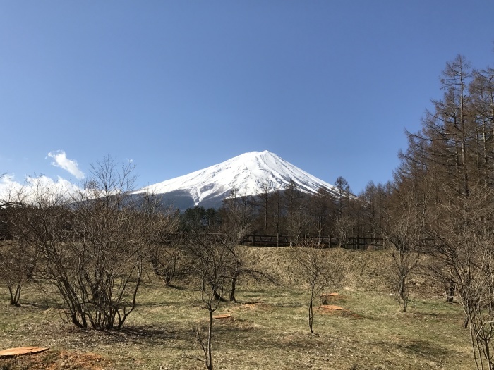 まだ朝は零下_c0301809_08210558.jpg