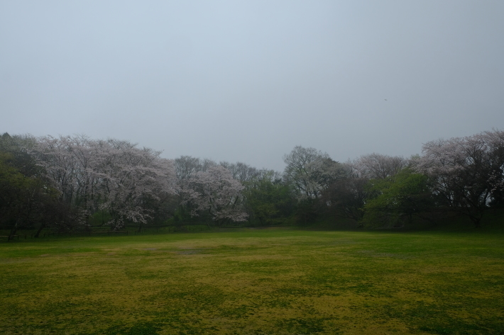 休日写真散歩_e0000910_20385276.jpg