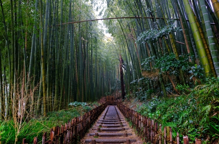休日写真散歩_e0000910_20541646.jpg