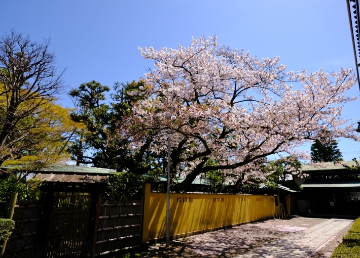 休日写真散歩_e0000910_22295280.jpg