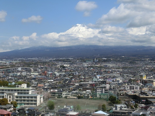 桜がやっと満開 でも今日あたりから「落花盛ん」?_f0141310_07560483.jpg