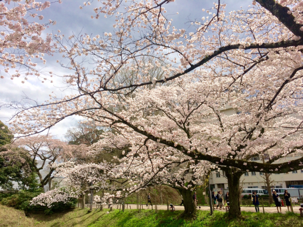 f0239111_22101560.jpg