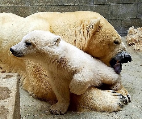 a0151913_021260.jpg