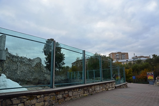ロシア ノヴォシビルスク動物園のホッキョクグマ飼育展示場にガラスフェンスが設置の予定 減じる魅力 Polarbearology Conjectaneum