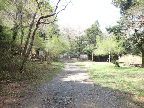 e0293913_1038416.jpg