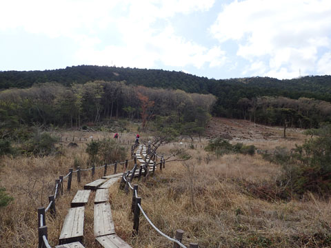 e0293913_10385350.jpg