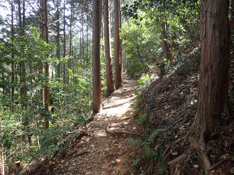 e0293913_1039856.jpg