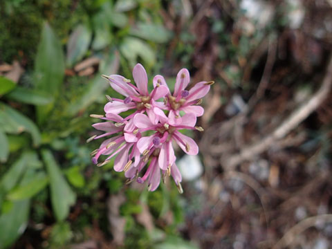 e0293913_10424661.jpg
