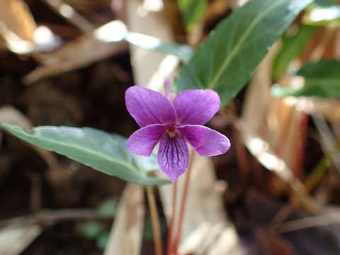 e0293913_10431220.jpg