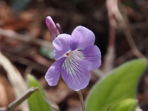 e0293913_10432999.jpg