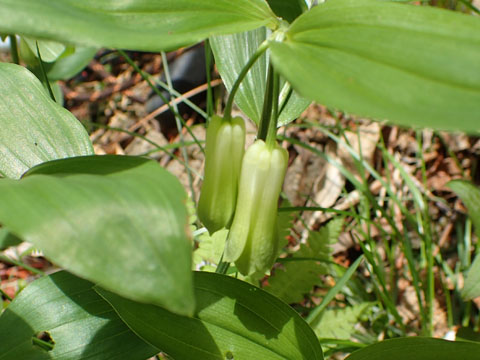 e0293913_10494540.jpg