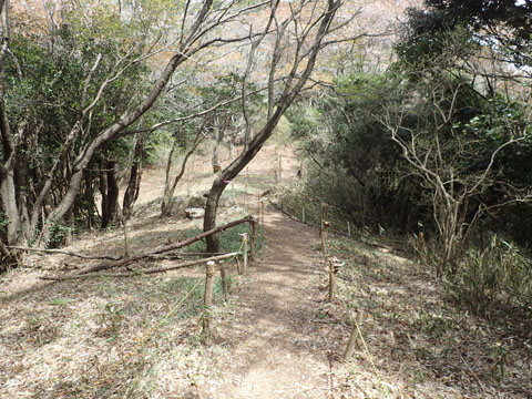 e0293913_10541844.jpg