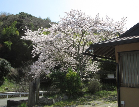 d0200414_18053541.jpg