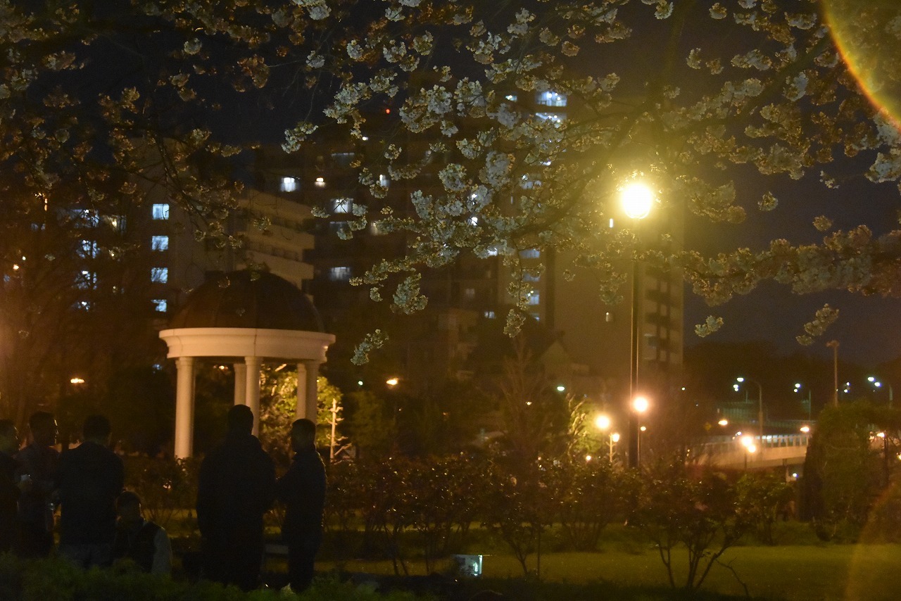 ヴェルニー公園の桜 6_d0065116_22474947.jpg