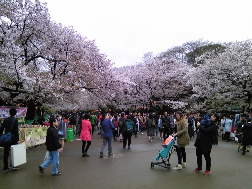 b0285619_11184770.jpeg
