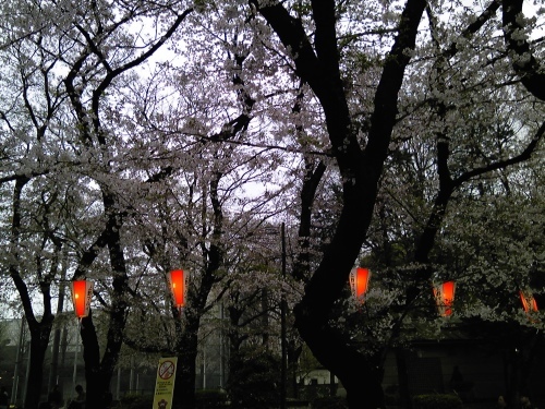 b0285619_11193029.jpeg