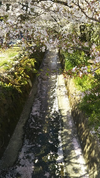 f0377520_14064184.jpg