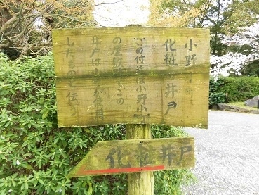 お花見ツアーその1・小野小町ゆかりの寺「随心院」_c0204121_01242102.jpg