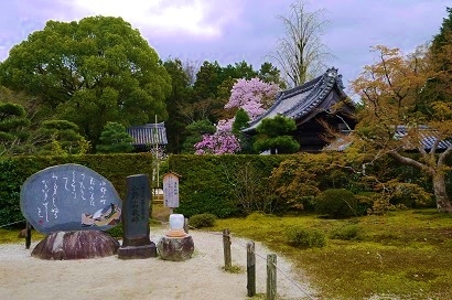 お花見ツアーその1・小野小町ゆかりの寺「随心院」_c0204121_01281644.jpg