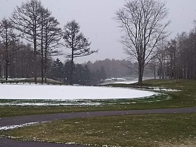 f0227321_20083821.jpg