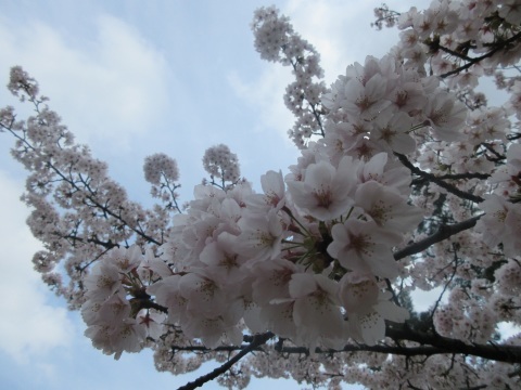 f0149422_20301314.jpg