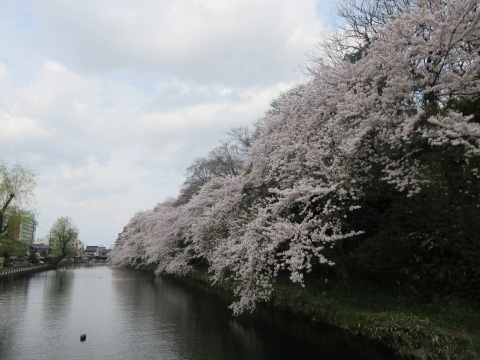 f0149422_20305151.jpg
