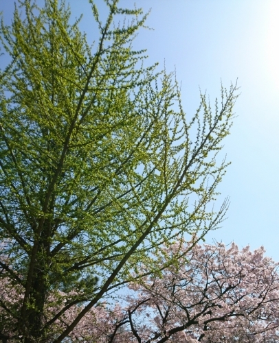 f0339422_21220432.jpg