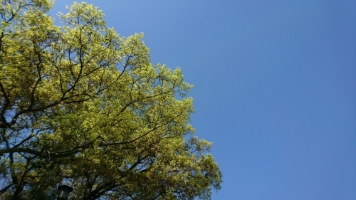 f0339422_21220682.jpg
