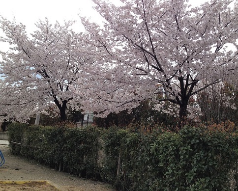 e0340223_22520135.jpg