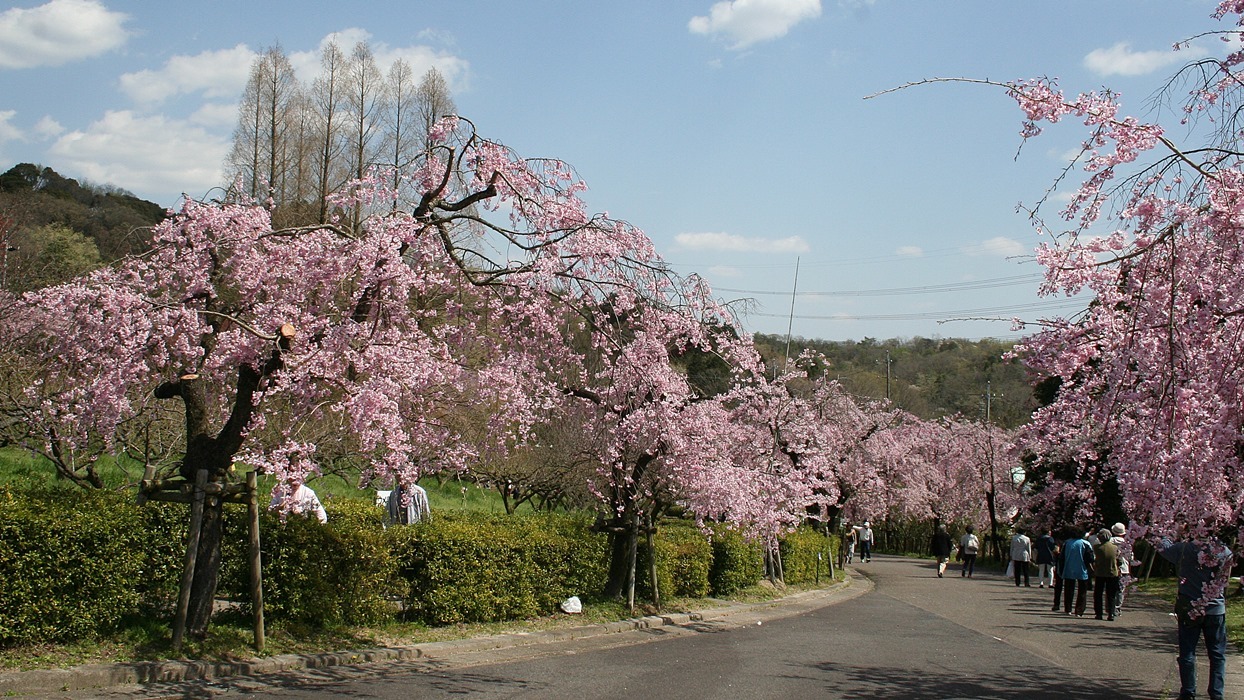 d0181824_16365591.jpg