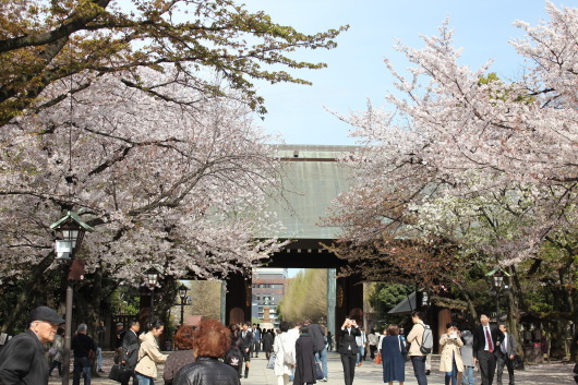 千鳥ヶ淵の桜_c0141025_23493831.jpg