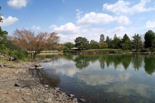 国営昭和記念公園・・・・立川市_f0147025_20233181.jpg