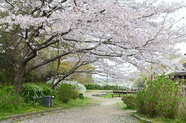 淡彩風景画講座・4月のテーマ「公園を描く」ご紹介_b0212226_11083873.jpg