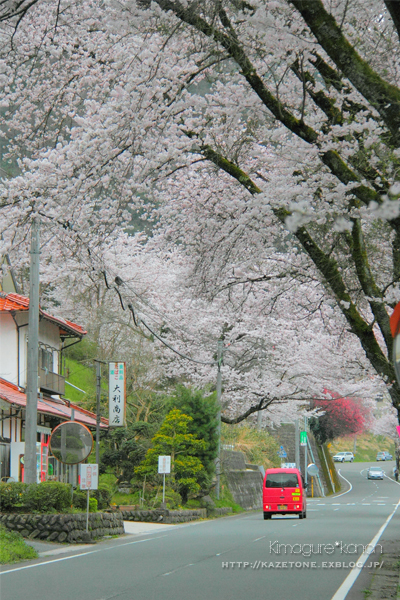 Sakura*Diary2017②**笑顔満開、駅サクラ_b0197639_16160330.jpg