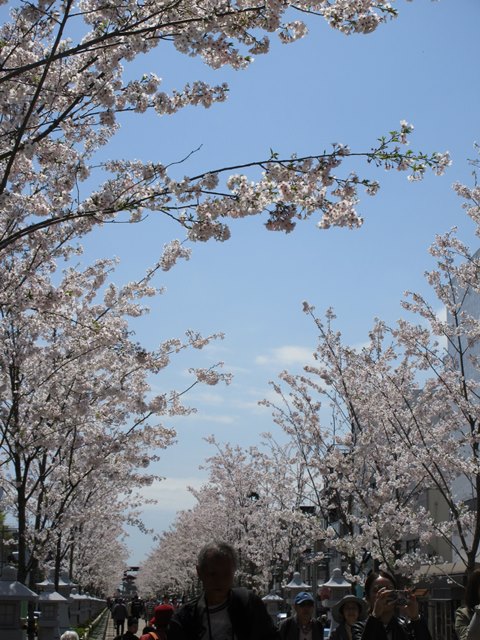 b0009849_1763246.jpg