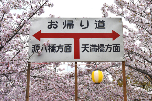 f0077849_13000467.jpg