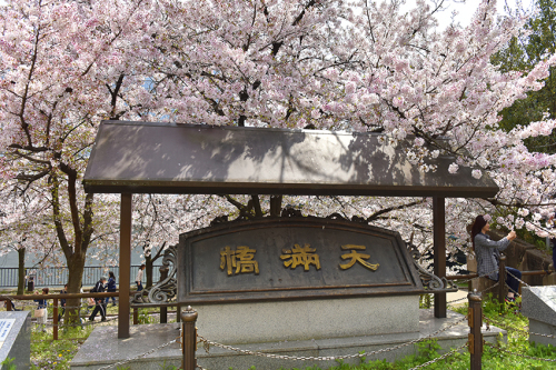 f0077849_13001700.jpg