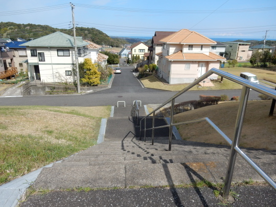 ’17,4,13(木)真央ちゃんの引退会見とお花見!_f0060461_09182603.jpg