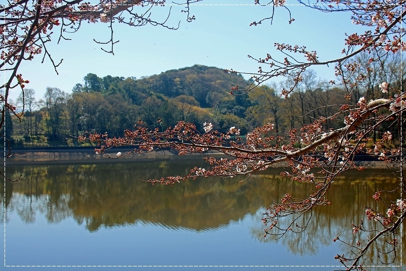 d0102968_05360468.jpg