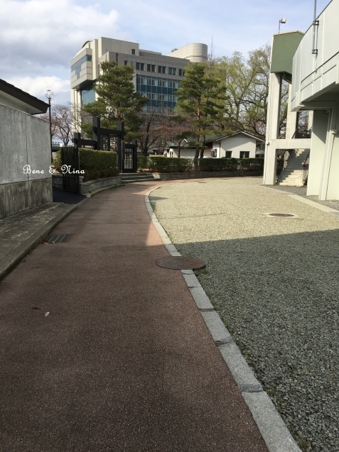 c0283778_17171621.jpg