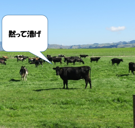 b0074992_21512658.png