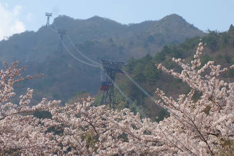 b0069604_20532334.jpg