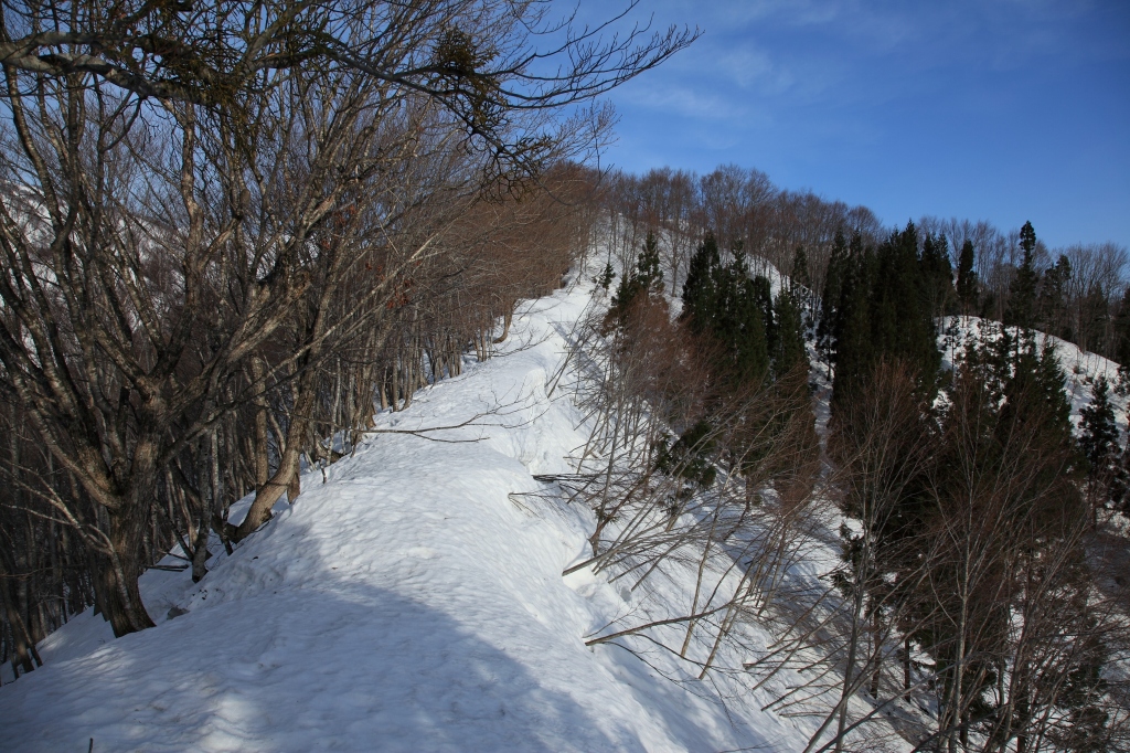 2017.04.10 下見・赤見堂岳_b0050305_1942212.jpg