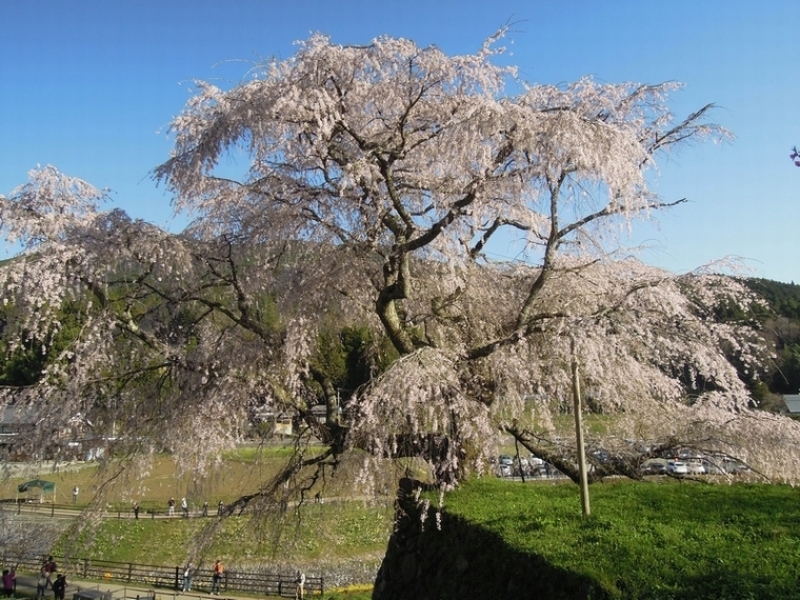 c0149408_17505640.jpg