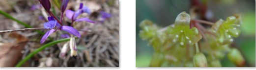 f0231709_0202998.png