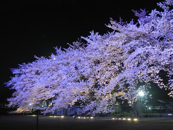 f0006510_00402111.jpg