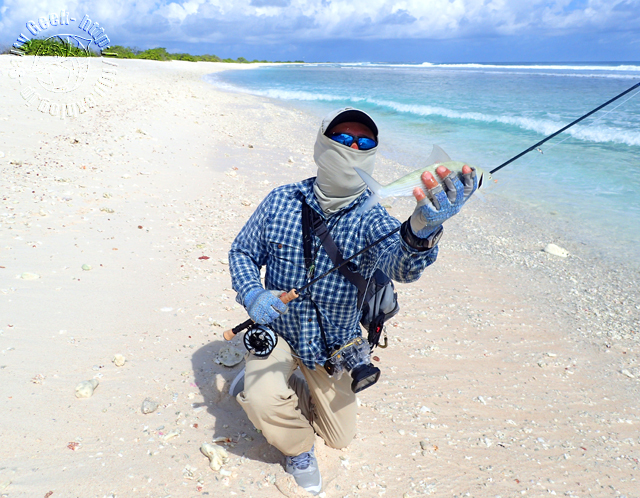 私の愛用品 #06 - HATCH FLY REELS - : Salty Geek 私の愛用品 #06 - HATCH FLY REELS - : Salty Geek